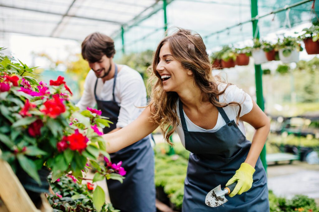 To happy gardeners working as a team in a greenhouse.