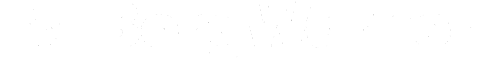 BorgWarner logo