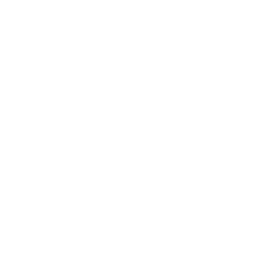 Lightbulb icon