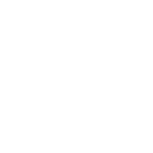Content audit icon