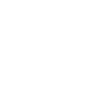 Platform optimization icon