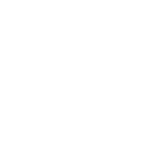 Technical solutions icon