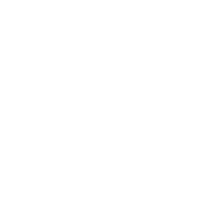 Shaking Hands Icon