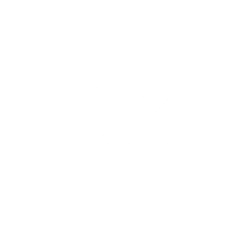 White Target Icon