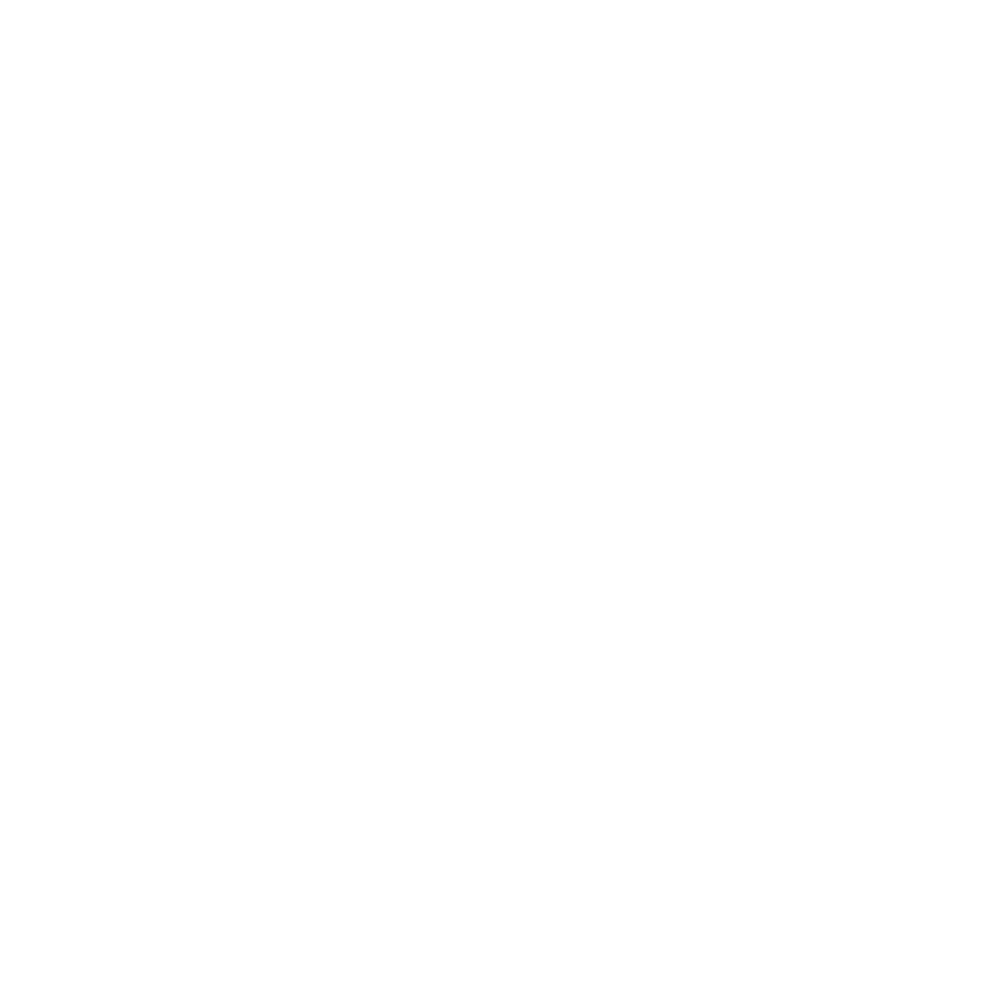 Lightning Bolt Icon