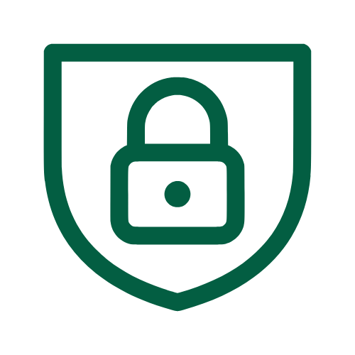 We protect data icon
